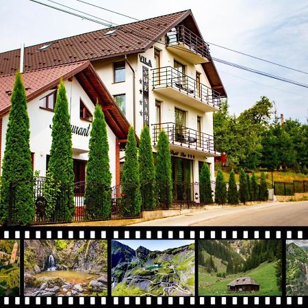 Hotel Vila Swe Sar Curtea de Argeş Zewnętrze zdjęcie