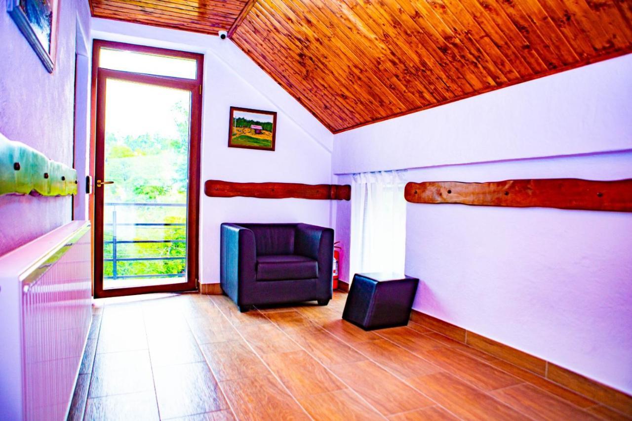 Hotel Vila Swe Sar Curtea de Argeş Zewnętrze zdjęcie
