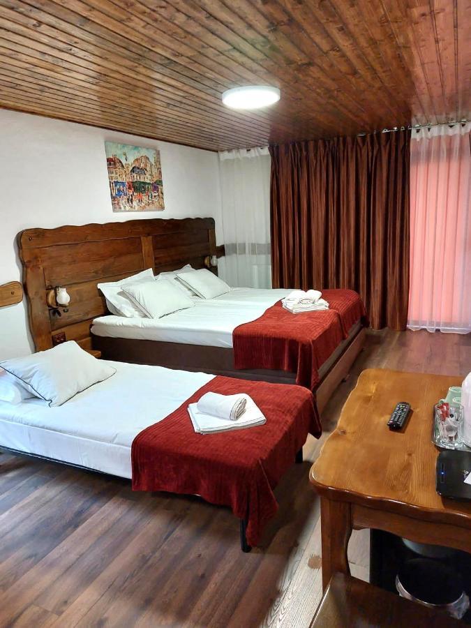 Hotel Vila Swe Sar Curtea de Argeş Zewnętrze zdjęcie