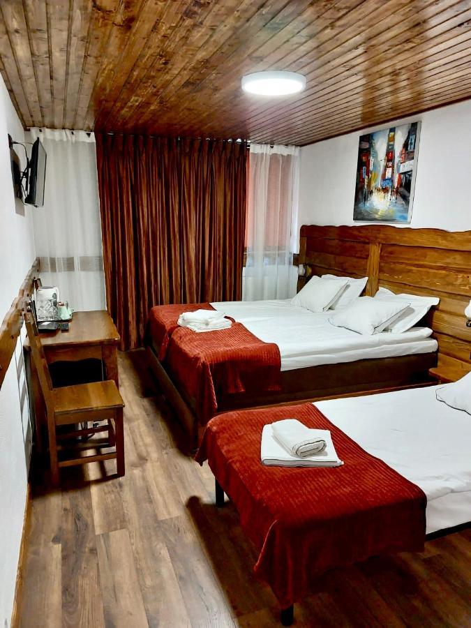 Hotel Vila Swe Sar Curtea de Argeş Zewnętrze zdjęcie