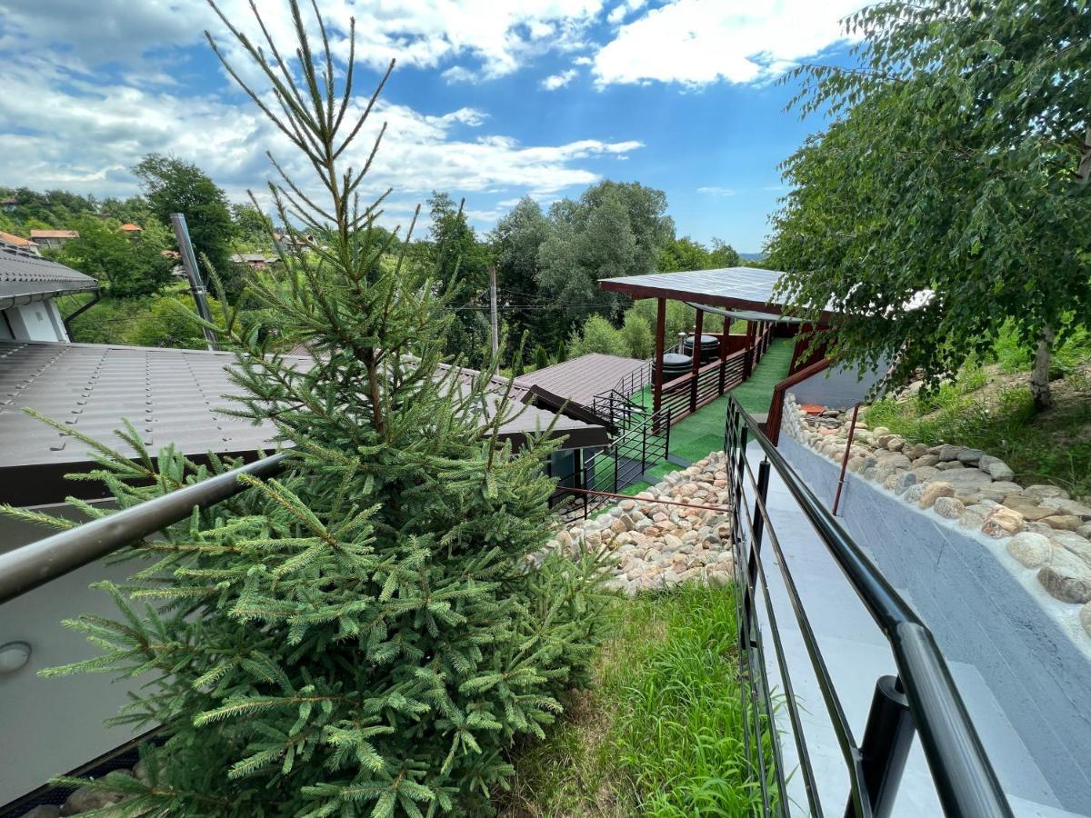 Hotel Vila Swe Sar Curtea de Argeş Zewnętrze zdjęcie