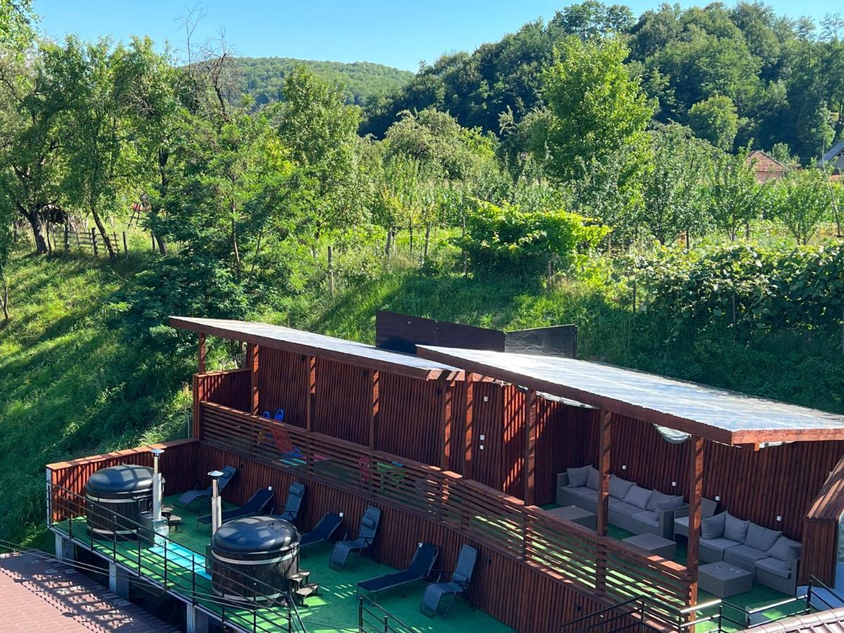 Hotel Vila Swe Sar Curtea de Argeş Zewnętrze zdjęcie